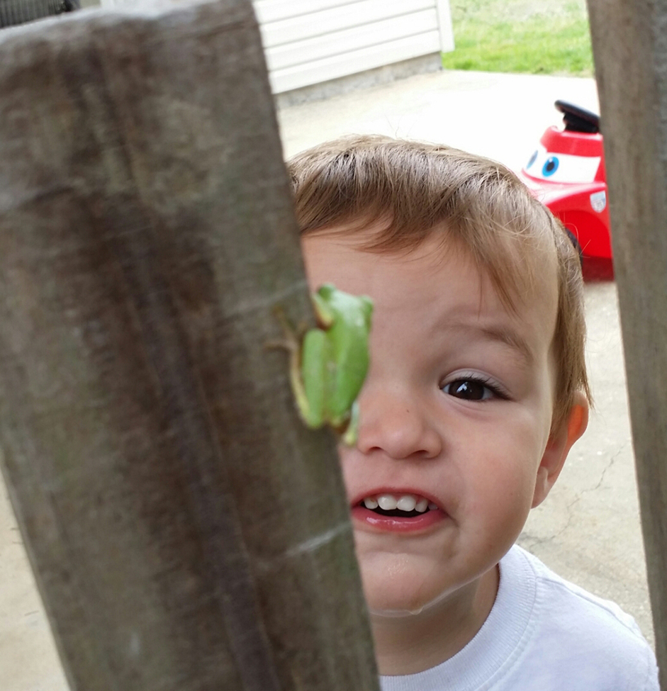 Frog, Gulf Breeze, Fl  , United States