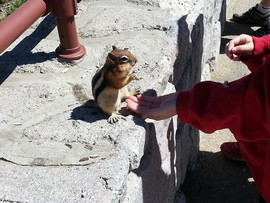 Grid 20150626 130728