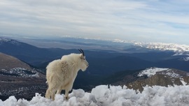 Grid 20160603 084719