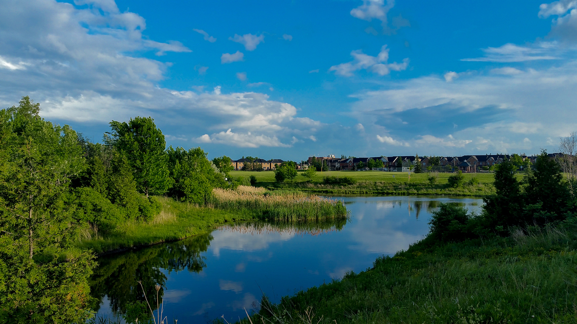 Small pond, brampton, Canada