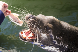 Grid  z7a7506 lightspeedfilms