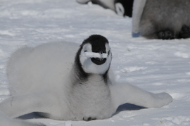 Grid %e7%85%a7%e7%89%87 444