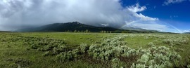 Grid img 0472