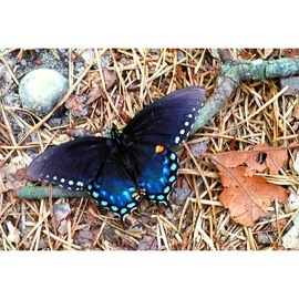 Grid img 0412
