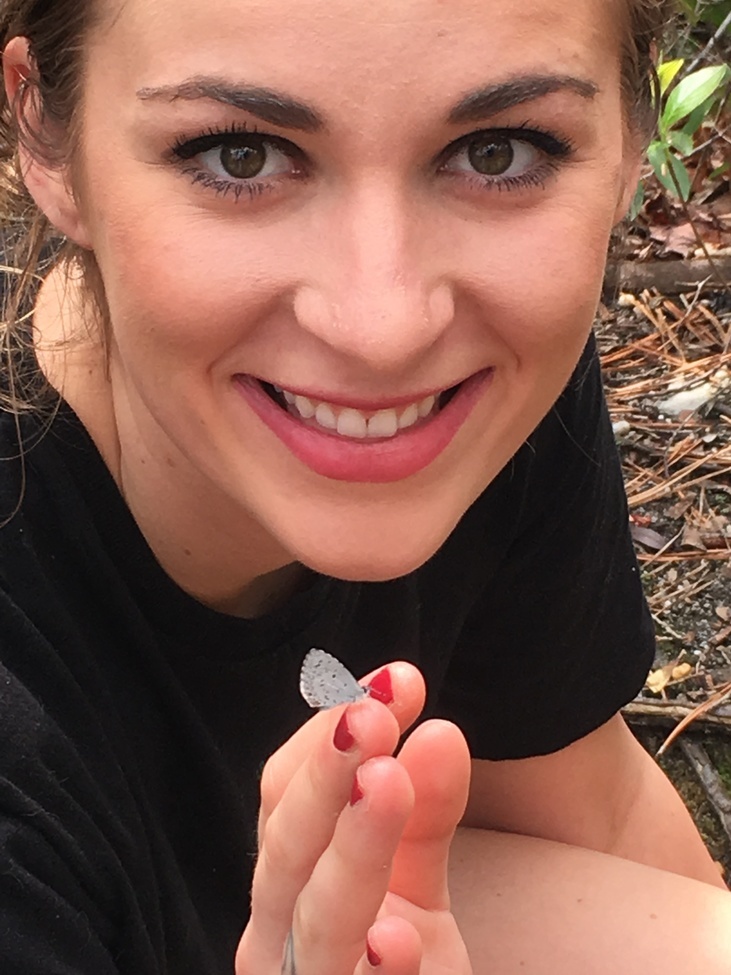 Moth, San souci, United States of America