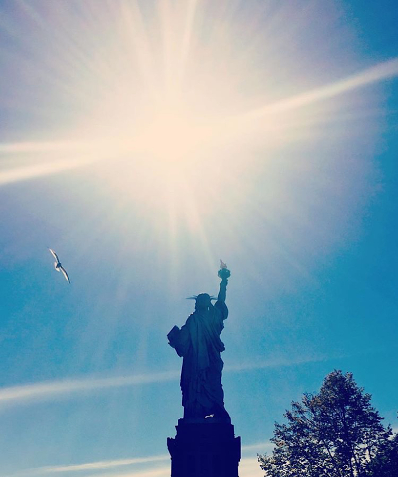Seagull, Liberty Island, United States of America