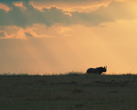 Grid 20140814  dsc6290 edit