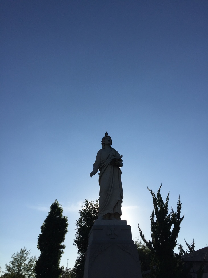 Bird, Historic Oakland Cemetery, United States of America