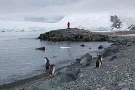 Grid antarctica 2008   1