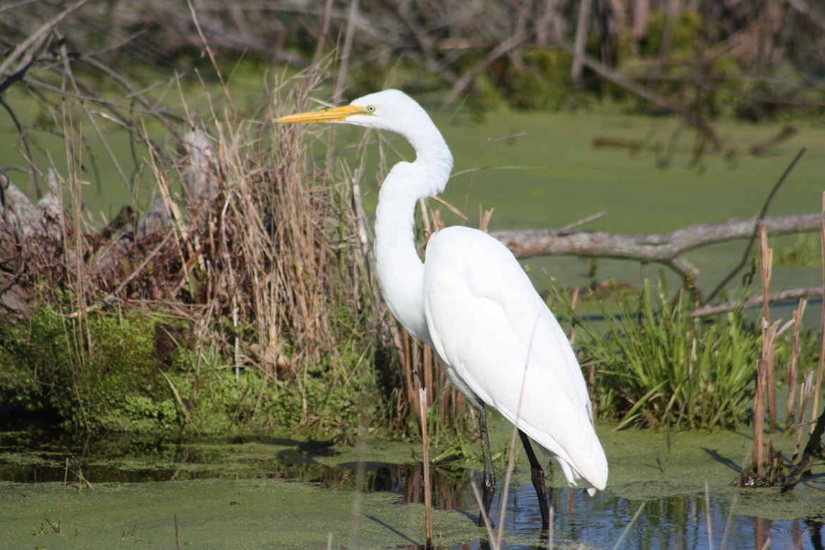 Crane, Northwest Indiana, United States of America