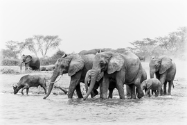 Grid 150109 uganda 1398