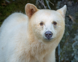 Grid 150814sharetheview2016print005