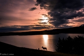 Grid 20170531 103118