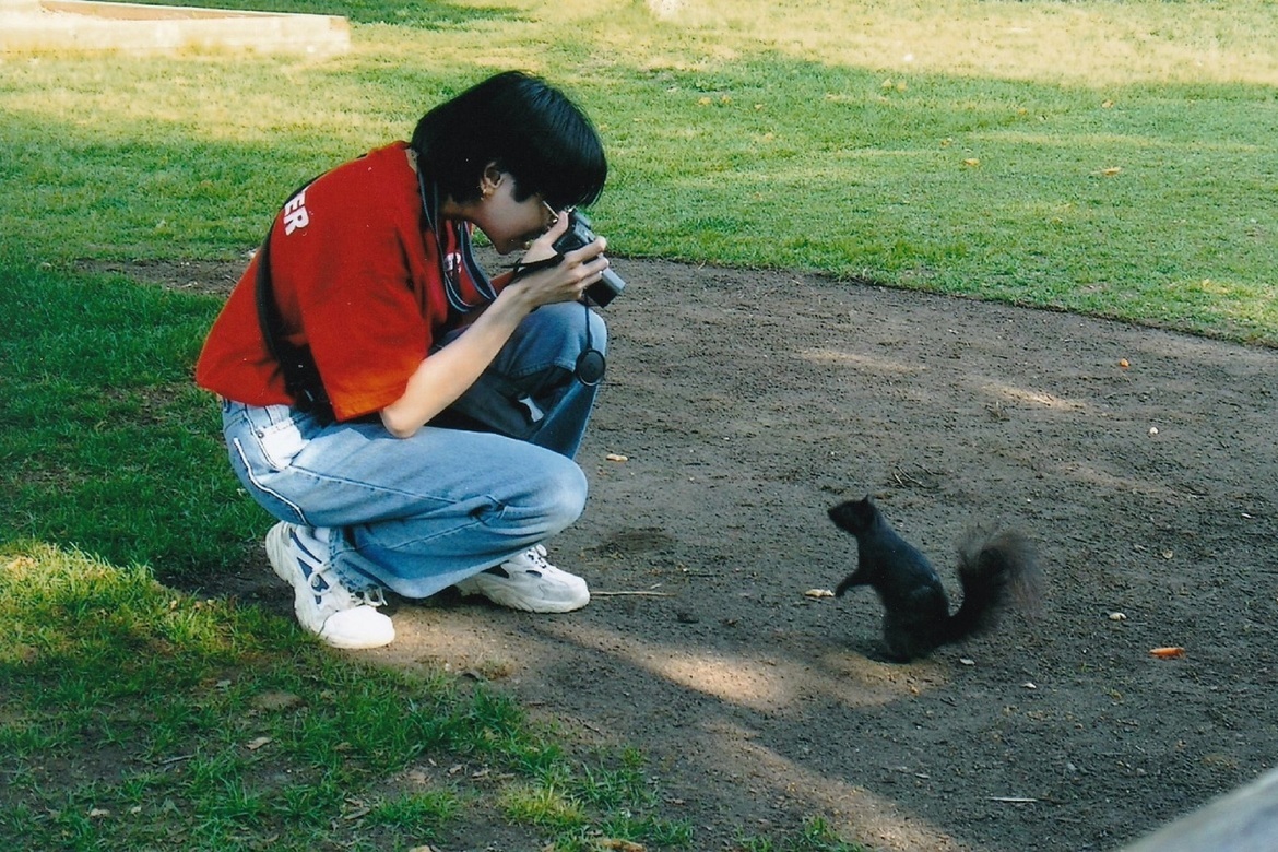 Squirrel, Ottawa, ON, Canada