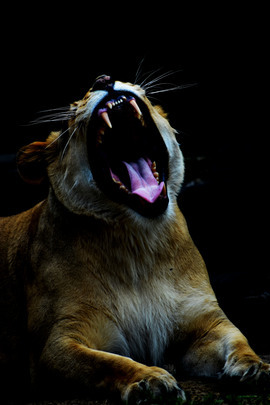 Grid dsc 0271 copy 3