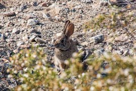 Grid 2015 04 01 08 24 09 arizona