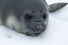 Grid photo contest 2