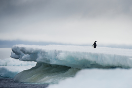 Grid kathleenricker4