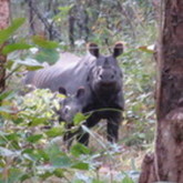 Cropped img 0296 fav