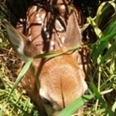 Cropped 20160603 121239