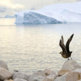 Cropped dsc 0015modified a