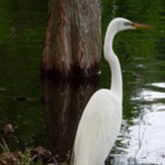 Cropped run summer 2014 113