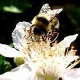 Cropped fb img 1464243014546