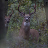 Cropped 20831804004 07dd4bf094 o