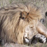 Cropped july 2013 pt 3 022