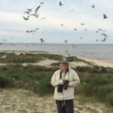 Cropped ksg south pelican island nc may 2016  2 