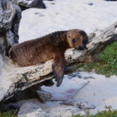 Cropped mosquera 062