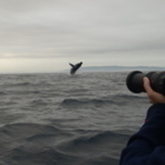 Cropped 20150911 090012