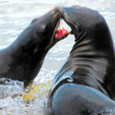 Cropped dsc 0274 copy