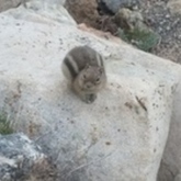 Cropped 20160520 130018