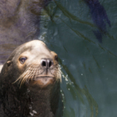 Cropped  z7a7492 lightspeedfilms