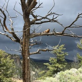 Cropped img 0438