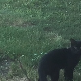 Cropped img 0504