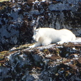 Cropped dsc01338