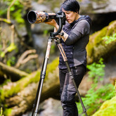 Cropped bailward 20170507 meko walker 4134