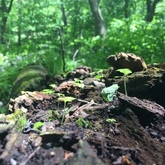 Cropped img 1538