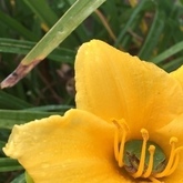 Cropped img 3040