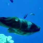 Cropped img 5764