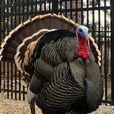 Cropped img 0371