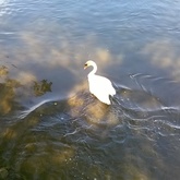 Cropped wp 20170516 15 11 39 pro