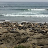 Cropped img 0186