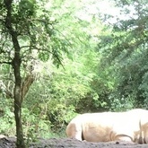 Cropped img 0388
