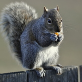 Cropped dsc0047