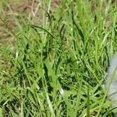 Cropped img 0917