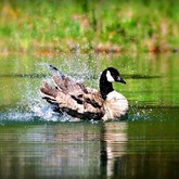 Cropped img 6292