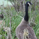 Cropped img 2343